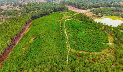 dji_20251029145040_0080_d