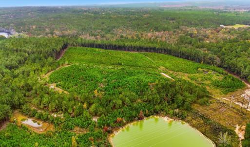 dji_20251029144927_0071_d