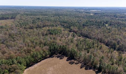 9-web-or-mls-DJI_20251022130002_0159_D