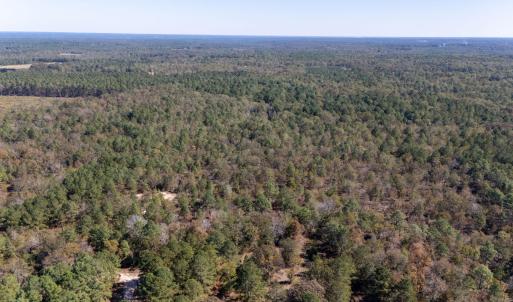 3-web-or-mls-DJI_20251022125240_0152_D