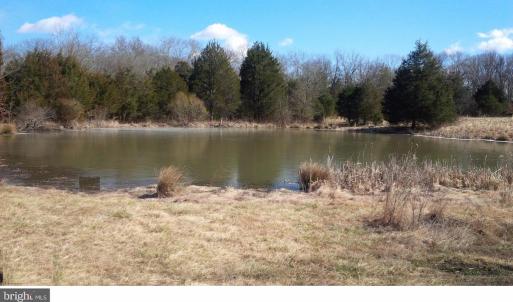 Photo #4 of SOLD property in 12149 OLD GRASSDALE RD, REMINGTON, VA 70.6 acres