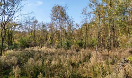 10-106 Rolling Hills Ct 10