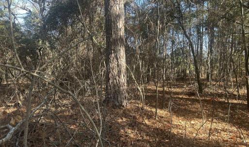 20251211214704040075000000-o