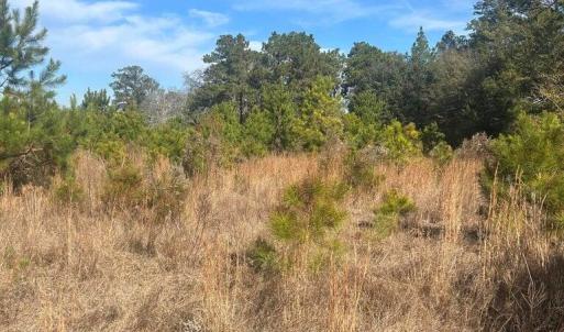 20251211221640347162000000-o