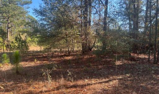 20251211221604134489000000-o