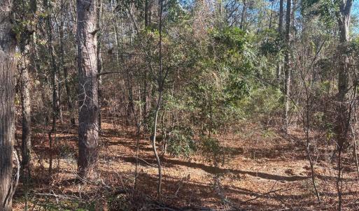 20251211213439817738000000-o