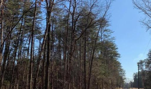 Photo #7 of SOLD property in COURTHOUSE ROAD, CATLETT, VA 18.5 acres