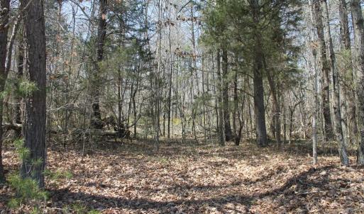 Photo #11 of SOLD property in UNION CHURCH RD, SUMERDUCK, VA 28.6 acres