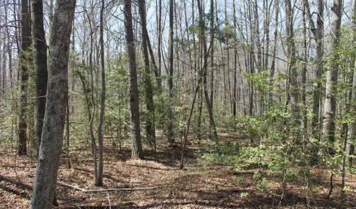 Photo #10 of SOLD property in UNION CHURCH RD, SUMERDUCK, VA 28.6 acres