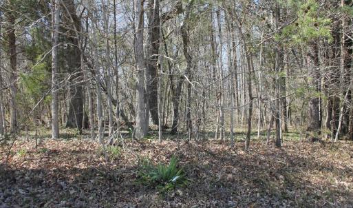 Photo #12 of SOLD property in UNION CHURCH RD, SUMERDUCK, VA 28.6 acres