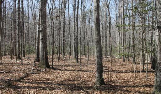 Photo #1 of SOLD property in UNION CHURCH RD, SUMERDUCK, VA 28.6 acres