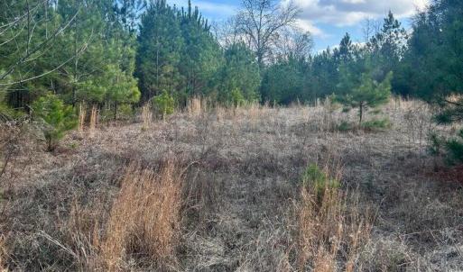 20260107210324594193000000-o