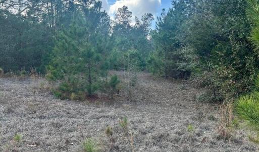 20260107210319822678000000-o