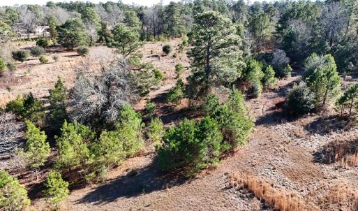 20260120192936210706000000-o