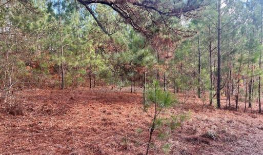 20260107210451605468000000-o