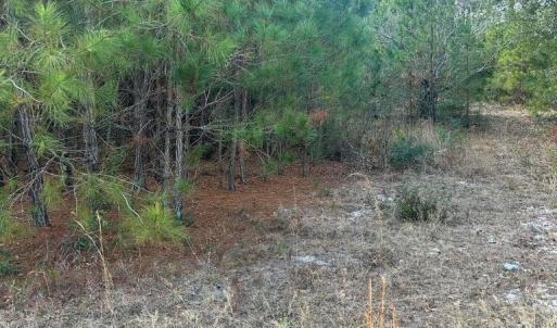 20260107210357093797000000-o