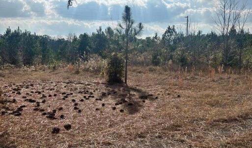 20260107210417020482000000-o