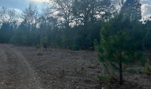 20260107210333657001000000-o