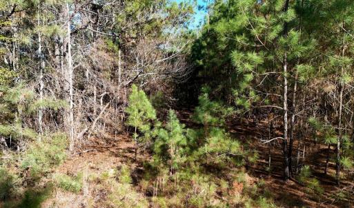 20260120192924249167000000-o