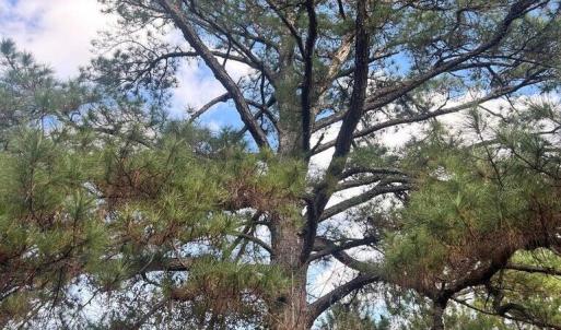 20260107210456306264000000-o