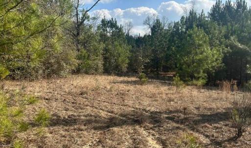 20260107210316905530000000-o