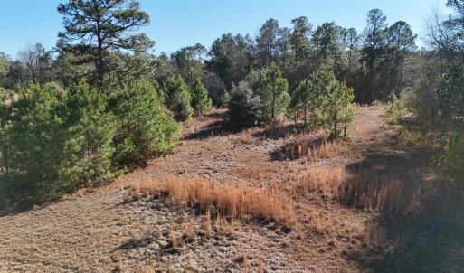 20260120192949489846000000-o