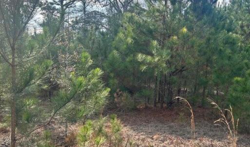 20260107210440732777000000-o