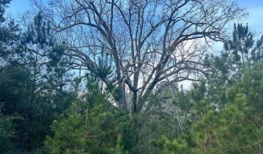 20260107210329083683000000-o