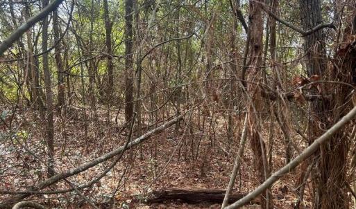 20260122181716495635000000-o