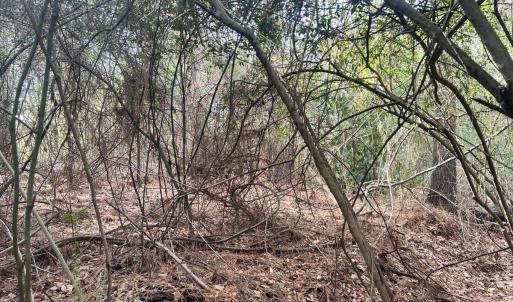 20260122181522223750000000-o