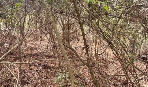 20260122181632894998000000-o