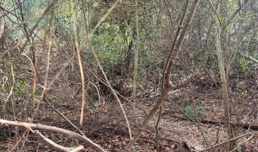 20260122181557374683000000-o