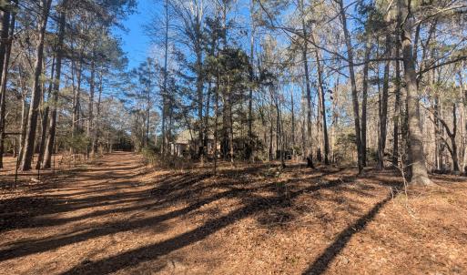 PXL_20260213_193628533