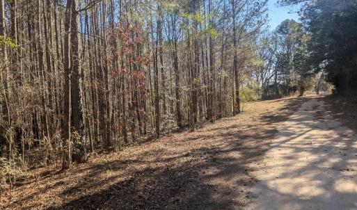 PXL_20260213_193115077.MP