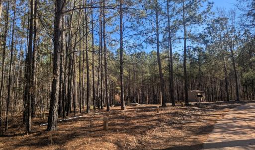 PXL_20260213_193034269.MP