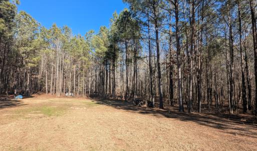 PXL_20260213_194135999