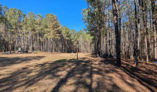 PXL_20260213_194109465