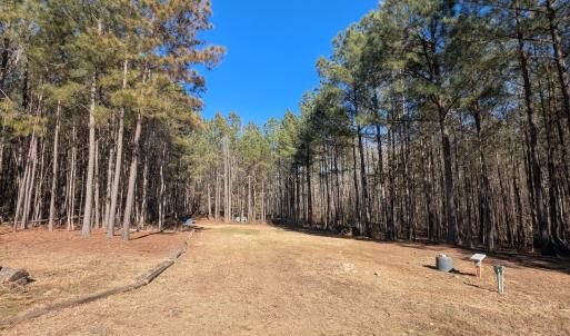 PXL_20260213_194033398