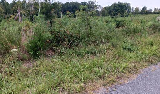 Photo #2 of 644 Buffalo Heights Rd., Farmville, VA 9.6 acres