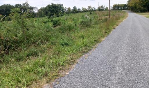 Photo #3 of 644 Buffalo Heights Rd., Farmville, VA 9.6 acres