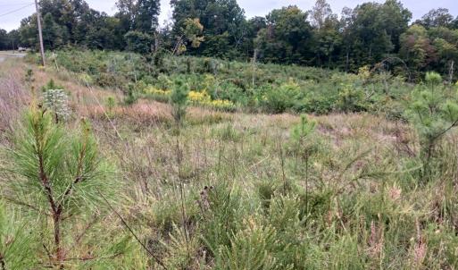 Photo #5 of 644 Buffalo Heights Rd., Farmville, VA 9.6 acres