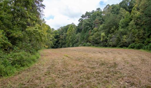 Photo #27 of South County Line Rd, Patrick Springs, VA 134.8 acres