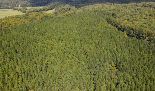 Photo #45 of South County Line Rd, Patrick Springs, VA 134.8 acres