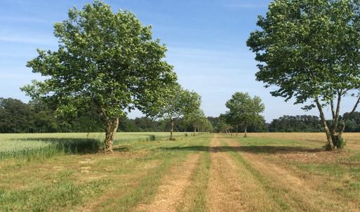 Photo #2 of METOMPKIN RD, GARGATHA, VA 91.8 acres