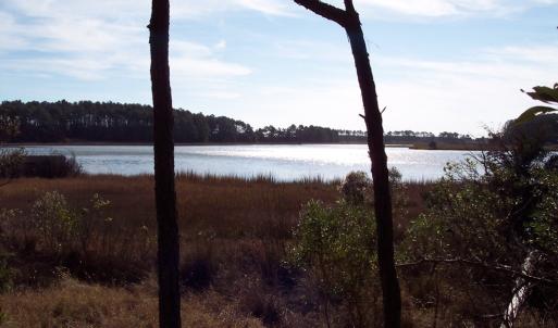 Photo #3 of METOMPKIN RD, GARGATHA, VA 91.8 acres