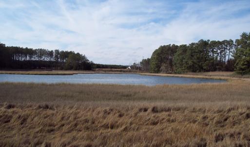 Photo #4 of METOMPKIN RD, GARGATHA, VA 91.8 acres