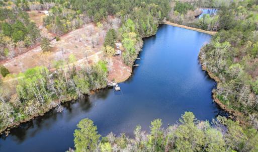 Main Pond Aerial View