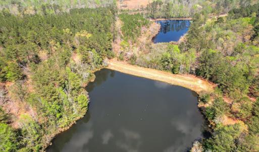 Main Pond Aerial View 2