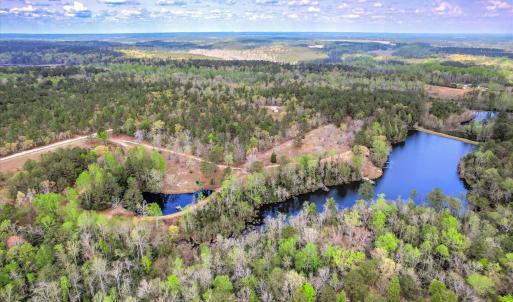 Aerial of Both Ponds