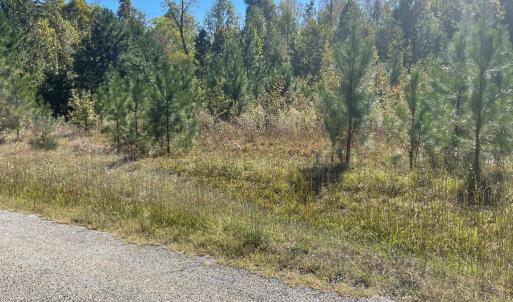 Photo #3 of 104 Pine Rd, Blackstone, VA 4.4 acres